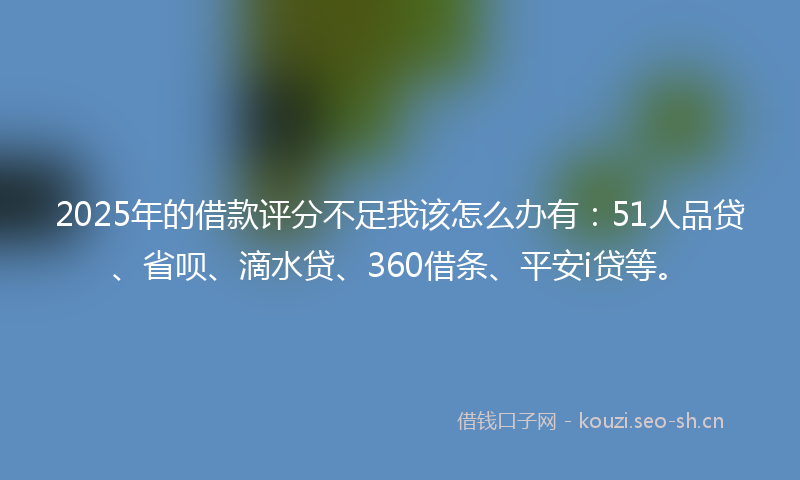 2025年的借款评分不足我该怎么办有：51人品贷、省呗、滴水贷、360借条、平安i贷等。