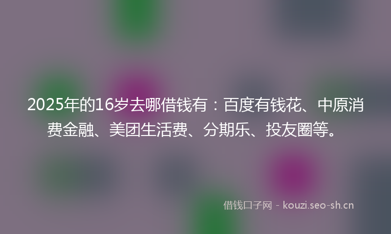 2025年的16岁去哪借钱有：百度有钱花、中原消费金融、美团生活费、分期乐、投友圈等。