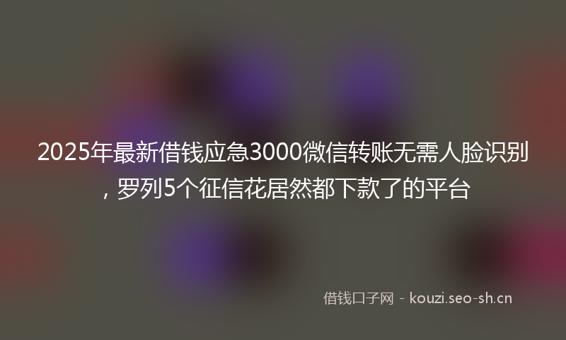 2025年最新借钱应急3000微信转账无需人脸识别，罗列5个征信花居然都下款了的平台