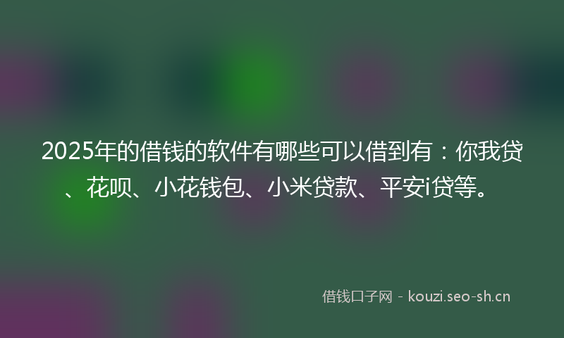 2025年的借钱的软件有哪些可以借到有：你我贷、花呗、小花钱包、小米贷款、平安i贷等。