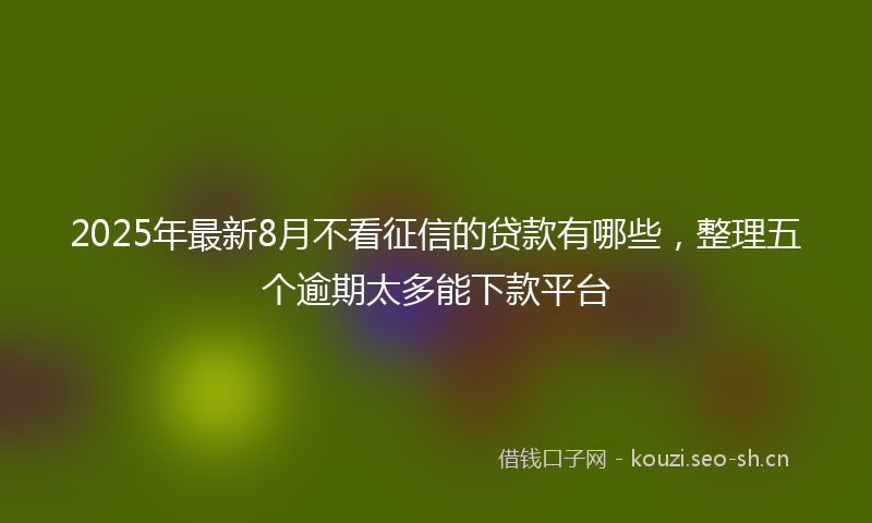2025年最新8月不看征信的贷款有哪些，整理五个逾期太多能下款平台