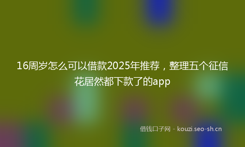 16周岁怎么可以借款2025年推荐，整理五个征信花居然都下款了的app