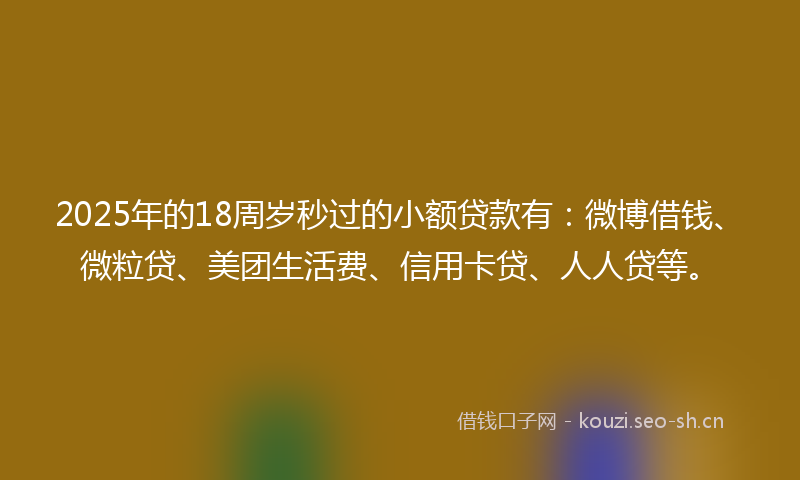 2025年的18周岁秒过的小额贷款有：微博借钱、微粒贷、美团生活费、信用卡贷、人人贷等。