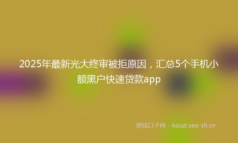 2025年最新光大终审被拒原因，汇总5个手机小额黑户快速贷款app