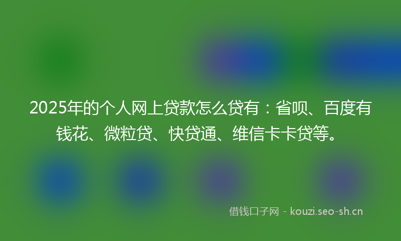 2025年的个人网上贷款怎么贷有：省呗、百度有钱花、微粒贷、快贷通、维信卡卡贷等。