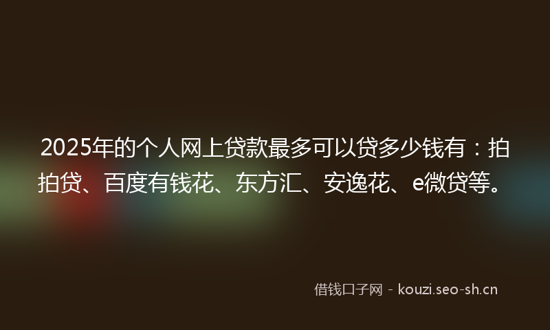 2025年的个人网上贷款最多可以贷多少钱有：拍拍贷、百度有钱花、东方汇、安逸花、e微贷等。