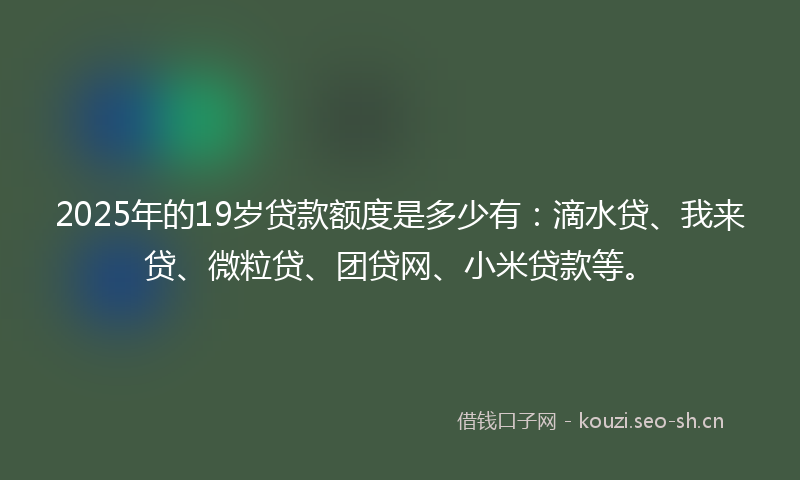 2025年的19岁贷款额度是多少有：滴水贷、我来贷、微粒贷、团贷网、小米贷款等。