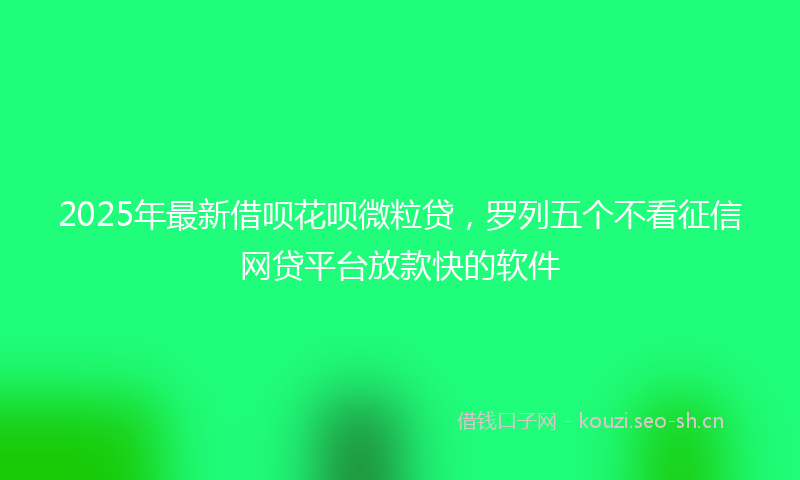 2025年最新借呗花呗微粒贷，罗列五个不看征信网贷平台放款快的软件