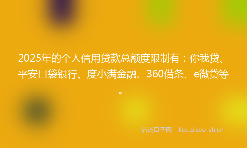 2025年的个人信用贷款总额度限制有：你我贷、平安口袋银行、度小满金融、360借条、e微贷等。