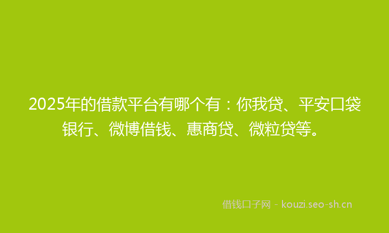 2025年的借款平台有哪个有:你我贷、平安口袋银行、微博借钱、惠商贷、微粒贷等。