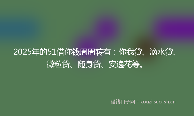 2025年的51借你钱周周转有：你我贷、滴水贷、微粒贷、随身贷、安逸花等。