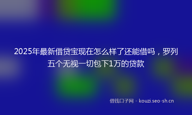2025年最新借贷宝现在怎么样了还能借吗，罗列五个无视一切包下1万的贷款