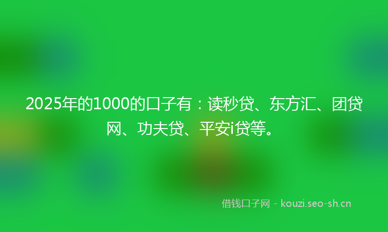 2025年的1000的口子有：读秒贷、东方汇、团贷网、功夫贷、平安i贷等。