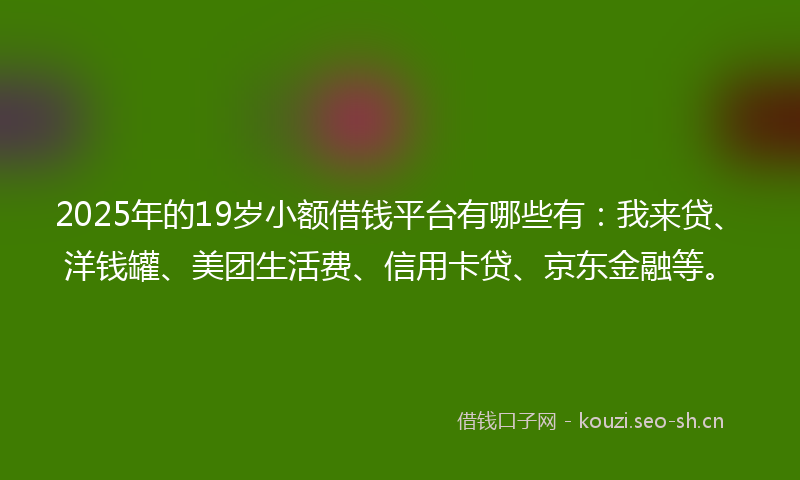 2025年的19岁小额借钱平台有哪些有：我来贷、洋钱罐、美团生活费、信用卡贷、京东金融等。