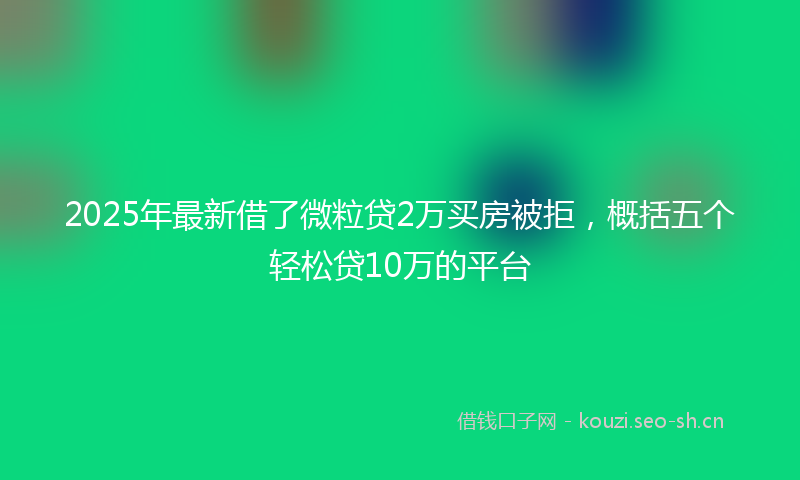 2025年最新借了微粒贷2万买房被拒，概括五个轻松贷10万的平台
