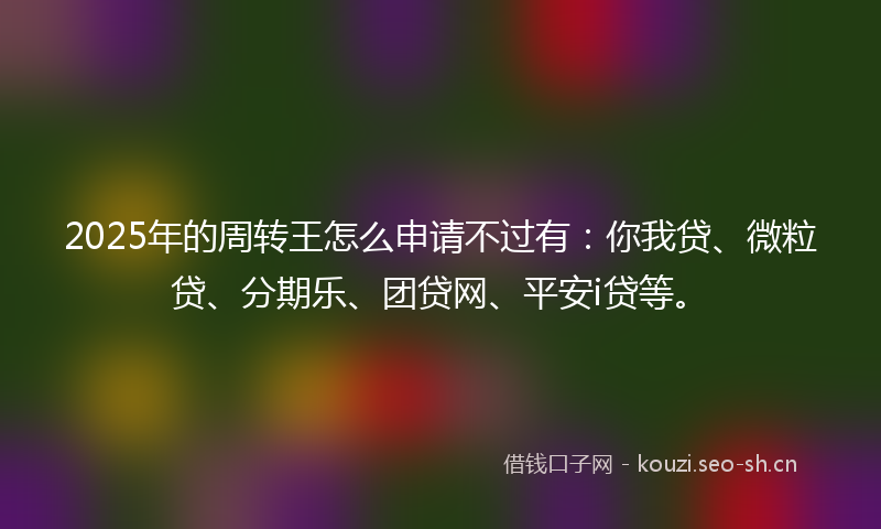 2025年的周转王怎么申请不过有：你我贷、微粒贷、分期乐、团贷网、平安i贷等。