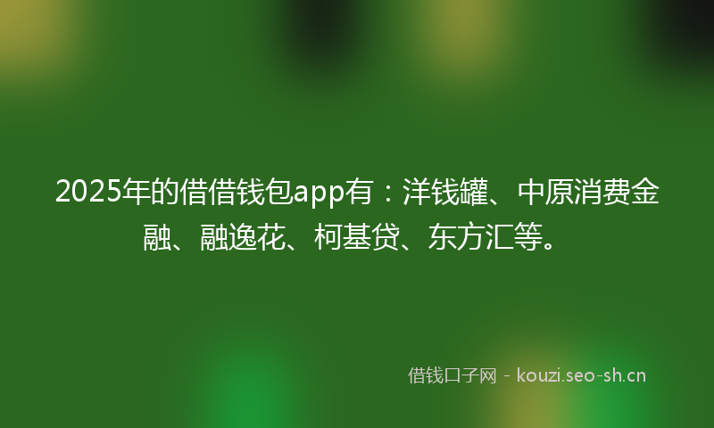 2025年的借借钱包app有：洋钱罐、中原消费金融、融逸花、柯基贷、东方汇等。