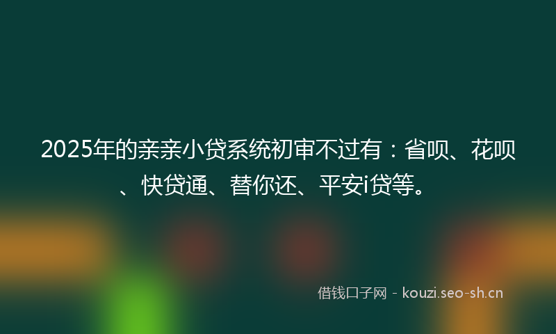 2025年的亲亲小贷系统初审不过有：省呗、花呗、快贷通、替你还、平安i贷等。
