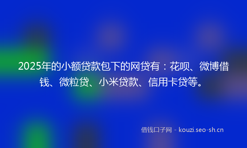 2025年的小额贷款包下的网贷有：花呗、微博借钱、微粒贷、小米贷款、信用卡贷等。
