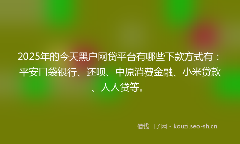 2025年的今天黑户网贷平台有哪些下款方式有：平安口袋银行、还呗、中原消费金融、小米贷款、人人贷等。