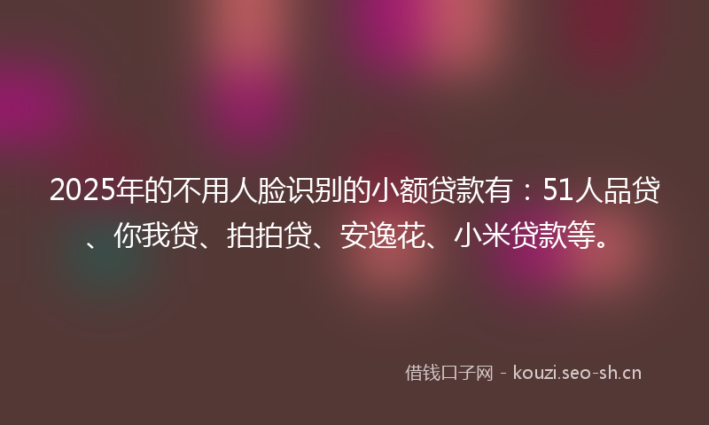 2025年的不用人脸识别的小额贷款有：51人品贷、你我贷、拍拍贷、安逸花、小米贷款等。