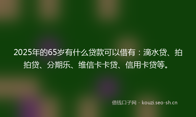 2025年的65岁有什么贷款可以借有：滴水贷、拍拍贷、分期乐、维信卡卡贷、信用卡贷等。