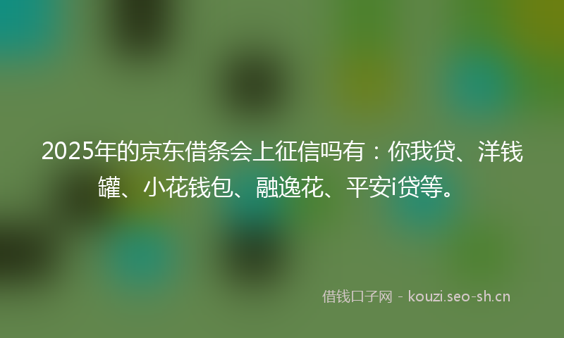 2025年的京东借条会上征信吗有：你我贷、洋钱罐、小花钱包、融逸花、平安i贷等。