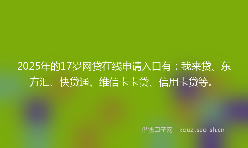 2025年的17岁网贷在线申请入口有：我来贷、东方汇、快贷通、维信卡卡贷、信用卡贷等。