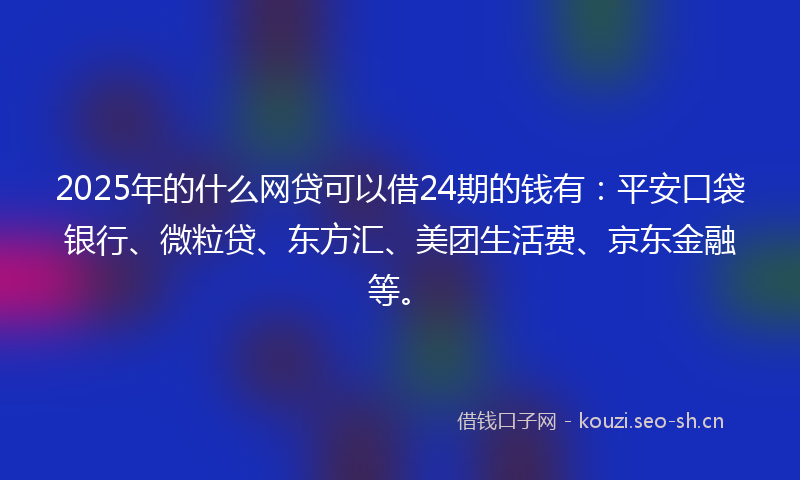 2025年的什么网贷可以借24期的钱有：平安口袋银行、微粒贷、东方汇、美团生活费、京东金融等。