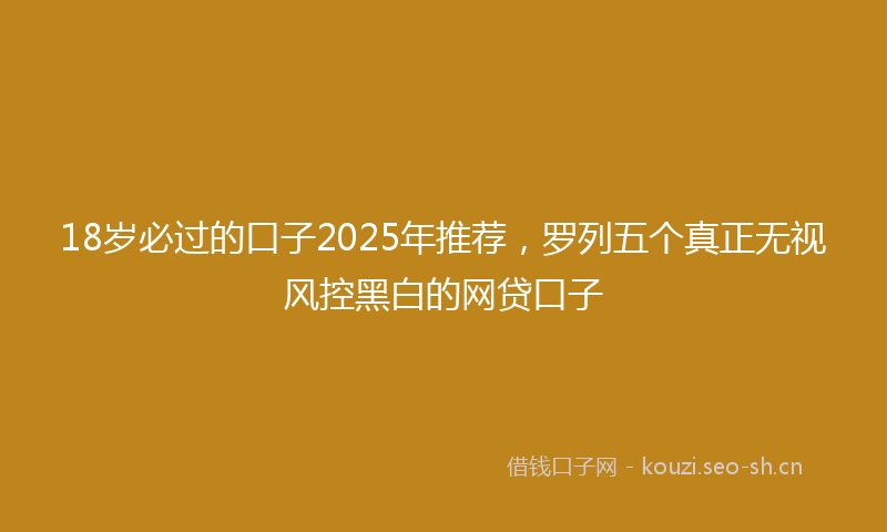 18岁必过的口子2025年推荐，罗列五个真正无视风控黑白的网贷口子
