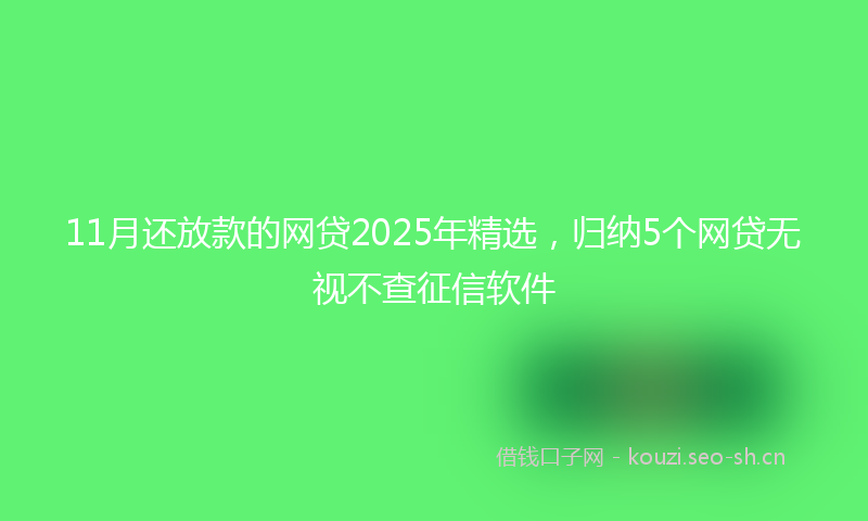 11月还放款的网贷2025年精选，归纳5个网贷无视不查征信软件