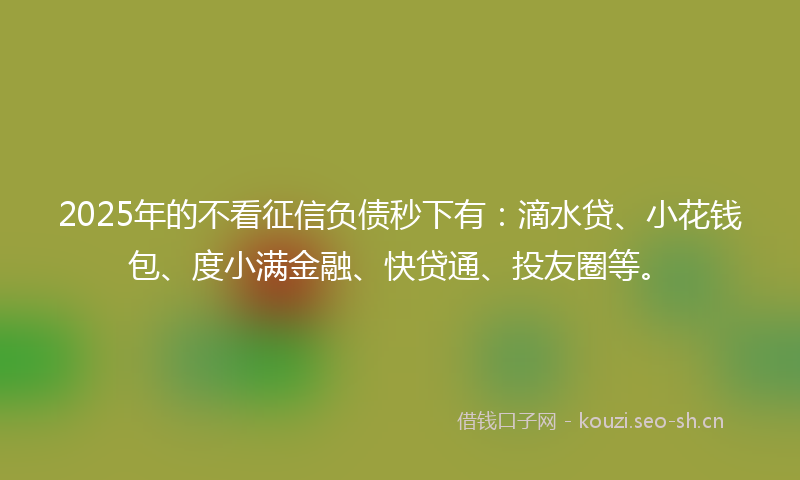 2025年的不看征信负债秒下有：滴水贷、小花钱包、度小满金融、快贷通、投友圈等。