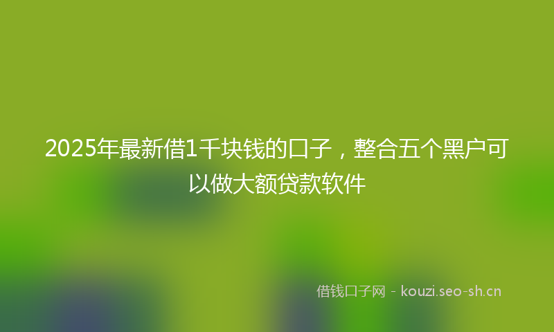 2025年最新借1千块钱的口子，整合五个黑户可以做大额贷款软件