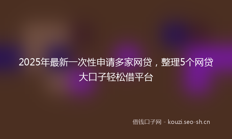 2025年最新一次性申请多家网贷，整理5个网贷大口子轻松借平台