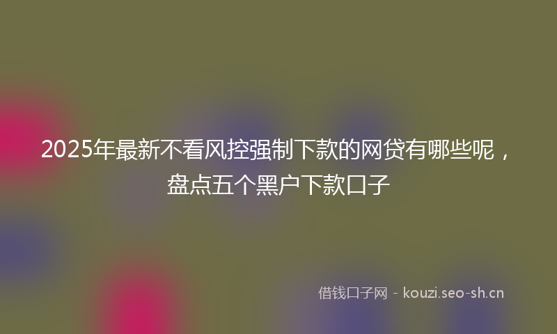 2025年最新不看风控强制下款的网贷有哪些呢,盘点五个黑户下款口子