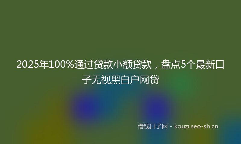 2025年100%通过贷款小额贷款，盘点5个最新口子无视黑白户网贷