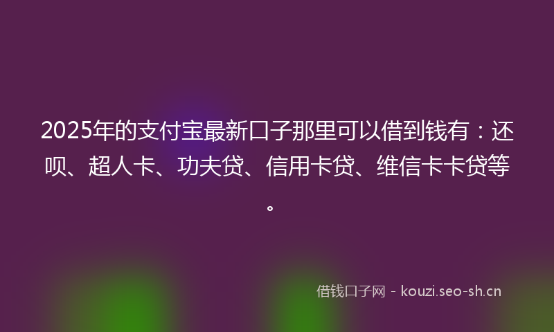 2025年的支付宝最新口子那里可以借到钱有：还呗、超人卡、功夫贷、信用卡贷、维信卡卡贷等。