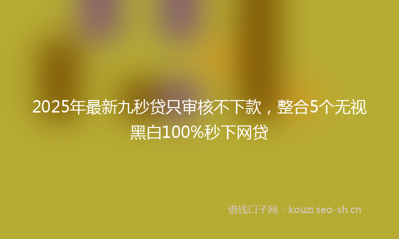 2025年最新九秒贷只审核不下款，整合5个无视黑白100%秒下网贷