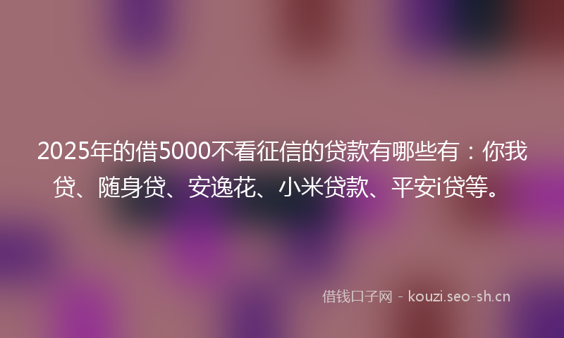 2025年的借5000不看征信的贷款有哪些有：你我贷、随身贷、安逸花、小米贷款、平安i贷等。