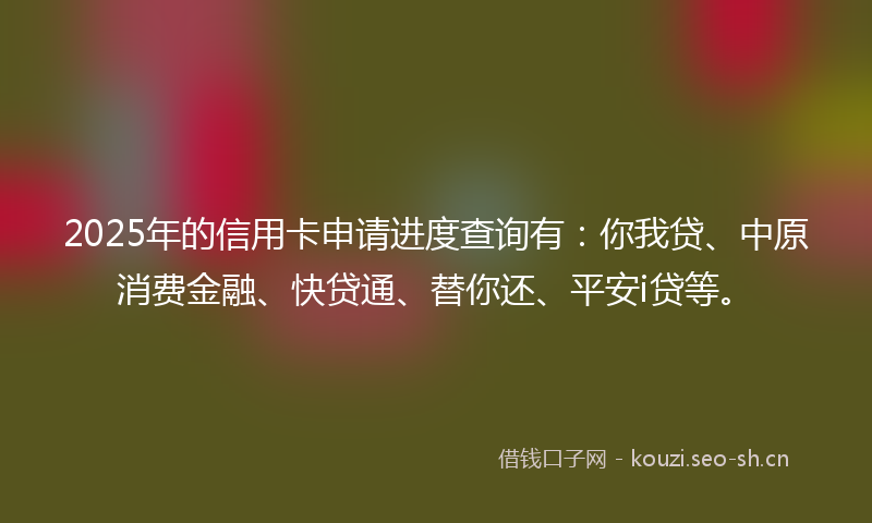 2025年的信用卡申请进度查询有:你我贷、中原消费金融、快贷通、替你还、平安i贷等。