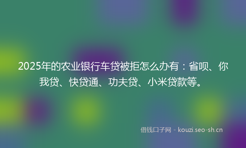 2025年的农业银行车贷被拒怎么办有：省呗、你我贷、快贷通、功夫贷、小米贷款等。