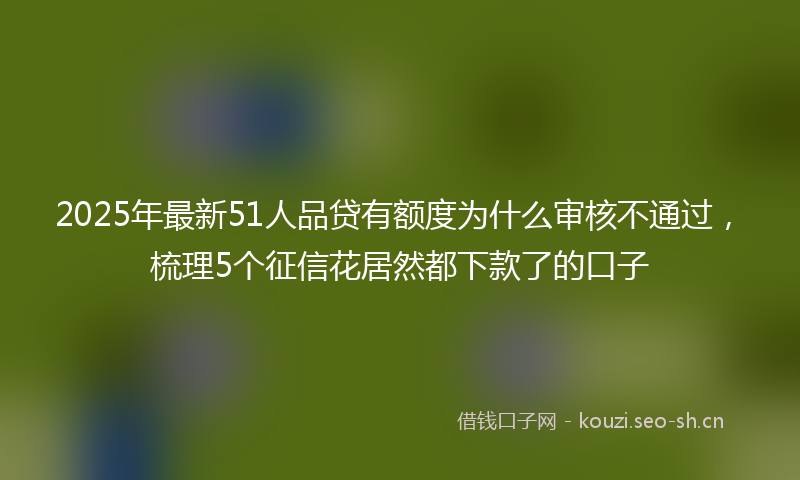 2025年最新51人品贷有额度为什么审核不通过，梳理5个征信花居然都下款了的口子