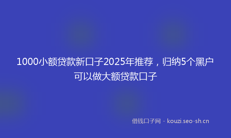 1000小额贷款新口子2025年推荐，归纳5个黑户可以做大额贷款口子