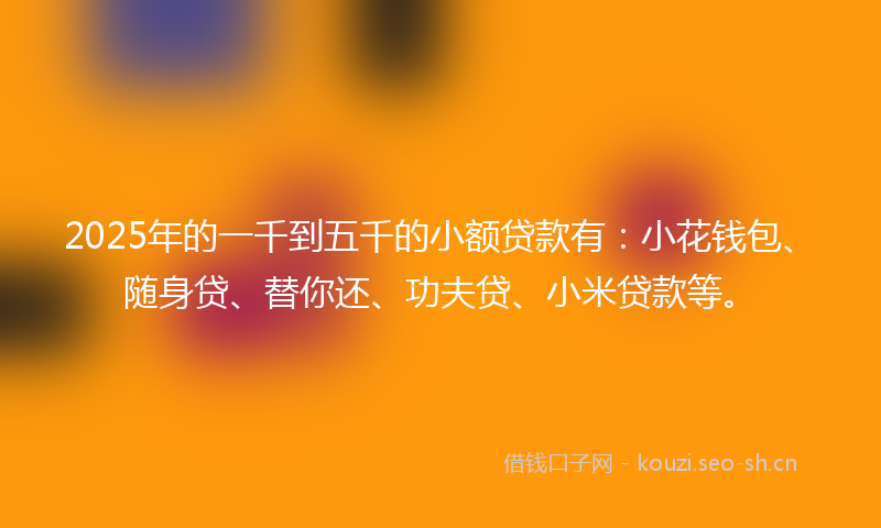 2025年的一千到五千的小额贷款有：小花钱包、随身贷、替你还、功夫贷、小米贷款等。