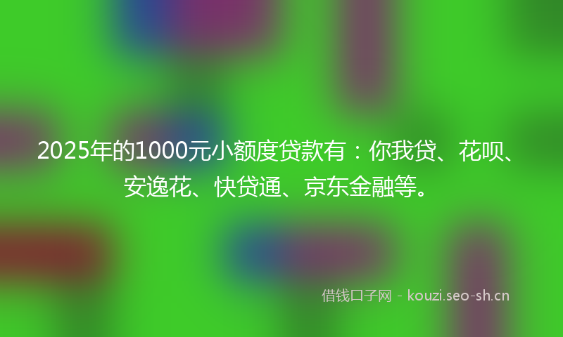 2025年的1000元小额度贷款有：你我贷、花呗、安逸花、快贷通、京东金融等。
