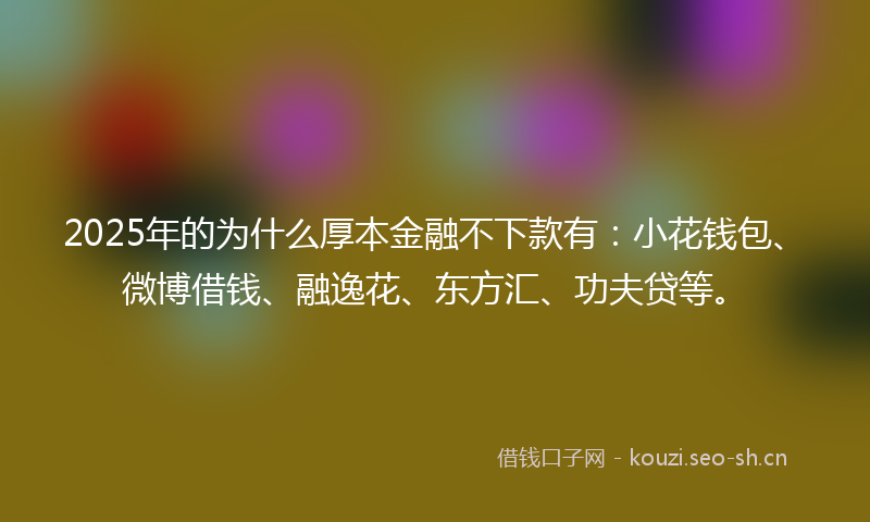 2025年的为什么厚本金融不下款有:小花钱包、微博借钱、融逸花、东方汇、功夫贷等。