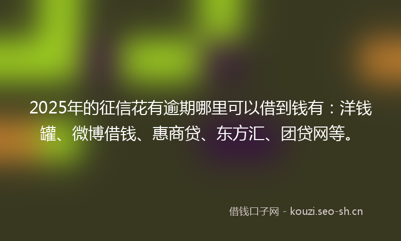 2025年的征信花有逾期哪里可以借到钱有：洋钱罐、微博借钱、惠商贷、东方汇、团贷网等。