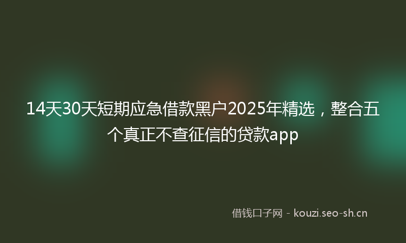 14天30天短期应急借款黑户2025年精选，整合五个真正不查征信的贷款app