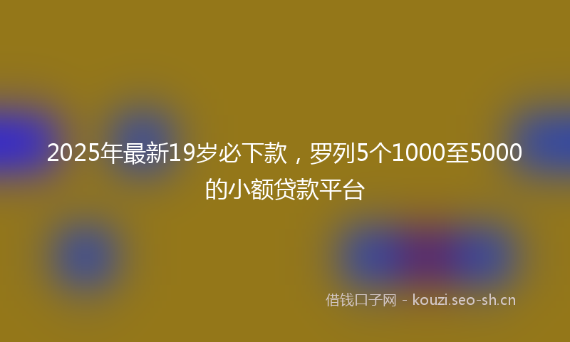 2025年最新19岁必下款，罗列5个1000至5000的小额贷款平台