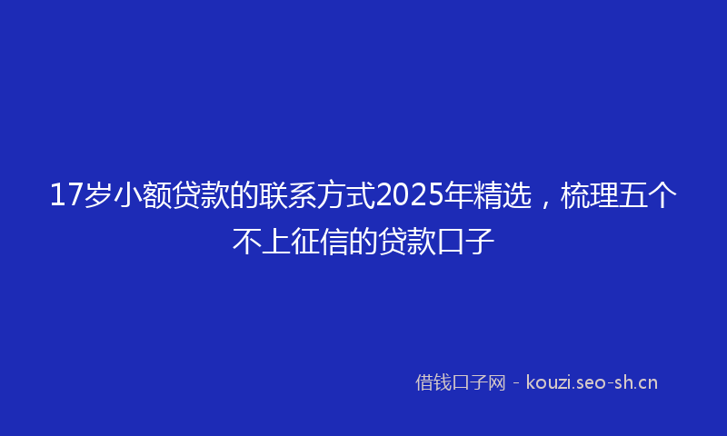 17岁小额贷款的联系方式2025年精选，梳理五个不上征信的贷款口子